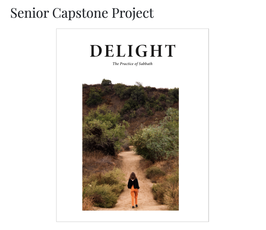 Media Capstone 488: Delight by Sophia Silvester